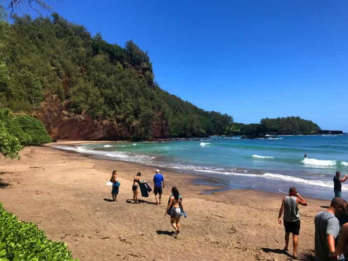 Maui: Custom Elite Tour with Escalade & Meals - Authentic Traveler Perspectives