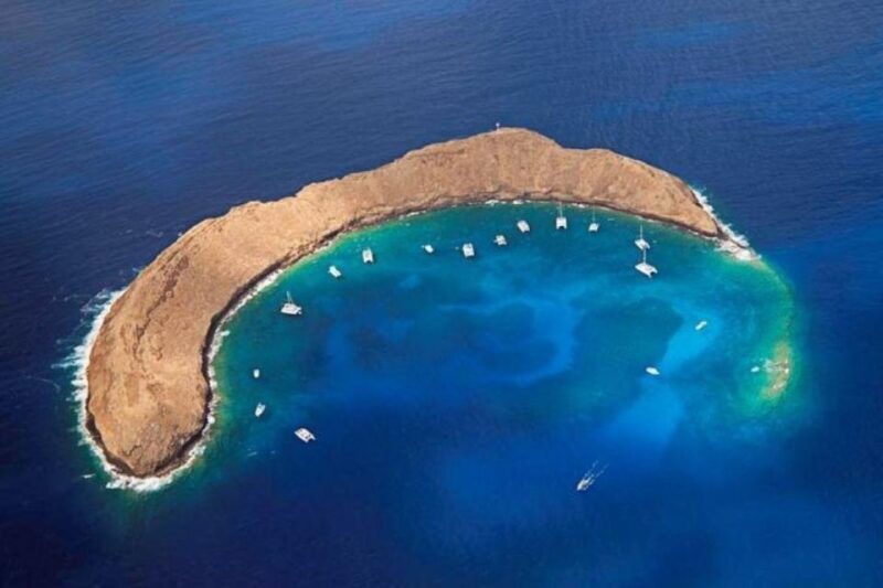 Maui: Deluxe Molokini Snorkel with Breakfast & Lunch - Authentic Feedback from Travelers