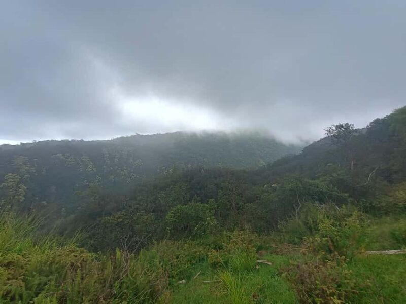 Maui: East Side Hiking Tour - Key Points