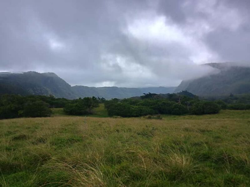 Maui: East Side Hiking Tour - Authentic Insights from Other Travelers