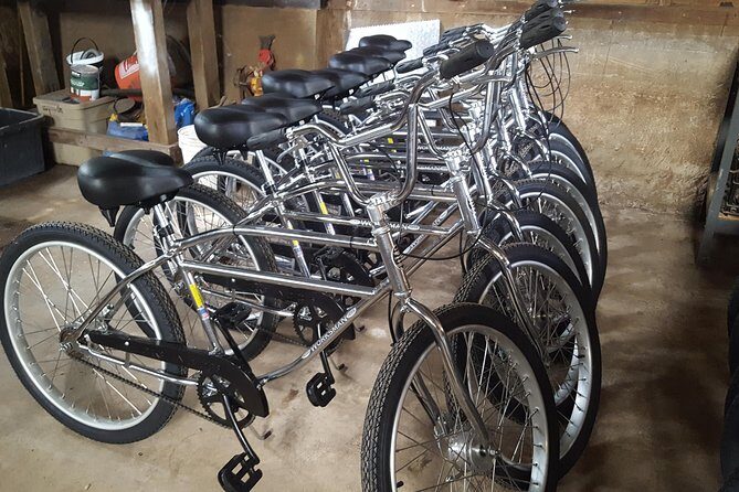 Maui Haleakala Day Bike Tour with Mountain Riders from 6500 to sea level - FAQs