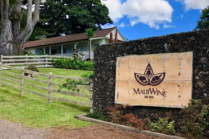 Maui Haleakala Volcano Summit Slingshot Tour from Kihei - The Value of the Experience