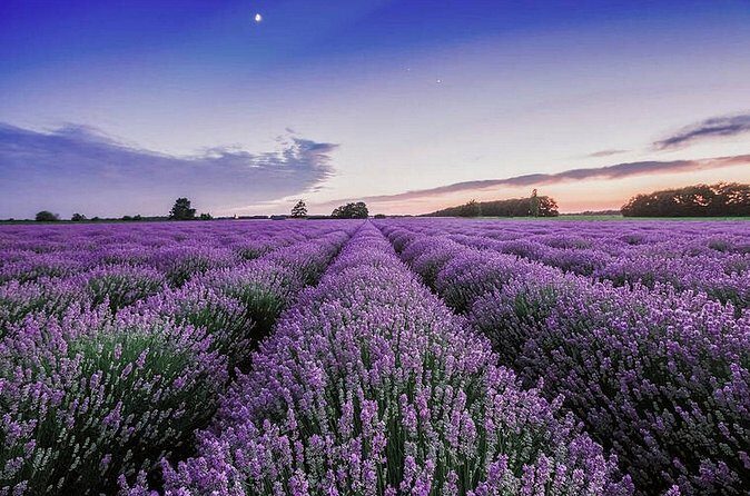 Maui Haleakala Volcano Summit Slingshot Tour from Kihei - FAQ