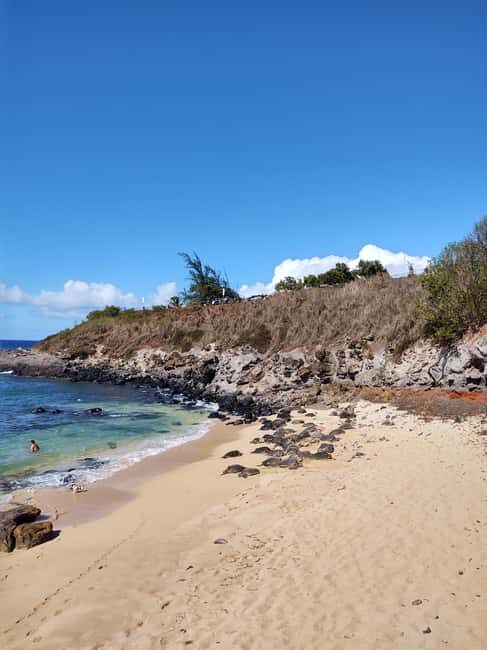 Maui: Halfway to Hana Black Sand Beach & Turtles Tour - What to Expect from the Halfway to Hana Tour