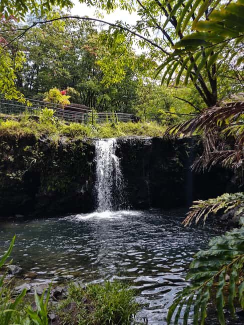 Maui: Halfway to Hana Black Sand Beach & Turtles Tour - The Bottom Line