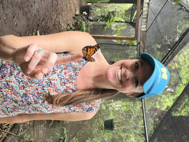 Maui: Interactive Butterfly Farm Entrance Ticket - Who Should Consider This Tour?