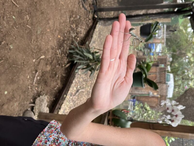 Maui: Interactive Butterfly Farm Entrance Ticket - The Sum Up