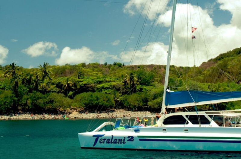 Maui: Kaanapali Beach 4-hour Snorkel w/ BBQ Lunch & Open Bar - Is This Tour Worth the Price?