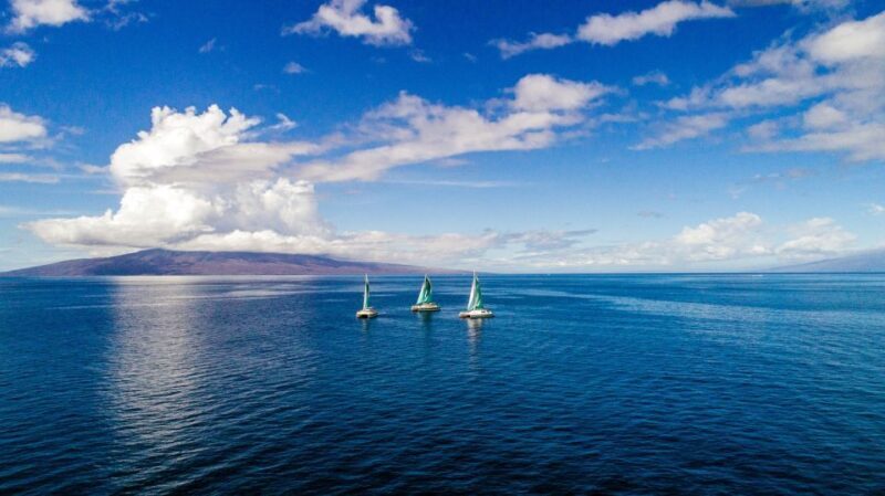 Maui: Kaanapali Dolphin Watching Boat Trip with Lunch - FAQ