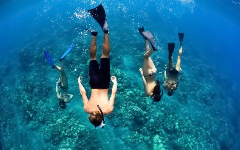 Maui: Luxury Catamaran Turtles & Tacos Snorkel - What to Expect From the Experience