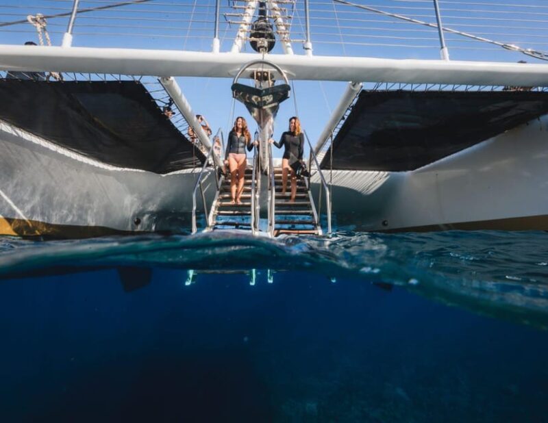 Maui: Luxury Catamaran Turtles & Tacos Snorkel - Who Is This Tour Best For?
