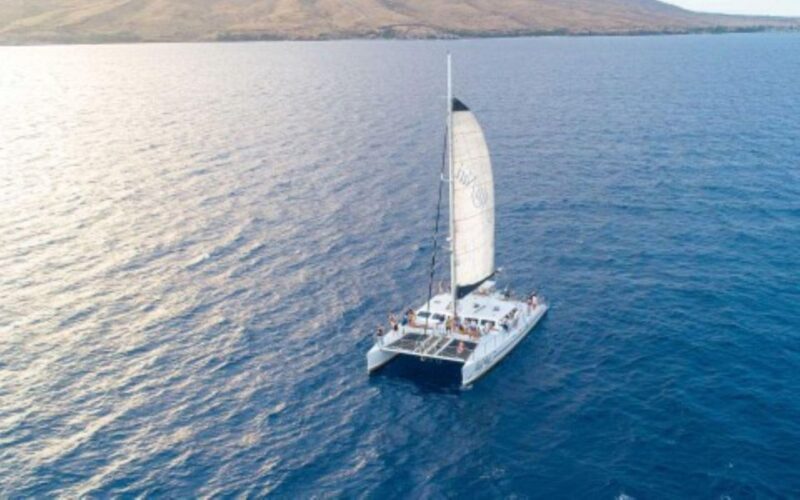 Maui: Luxury Catamaran Whale Watch & Sail - Authentic Insights from Other Travelers