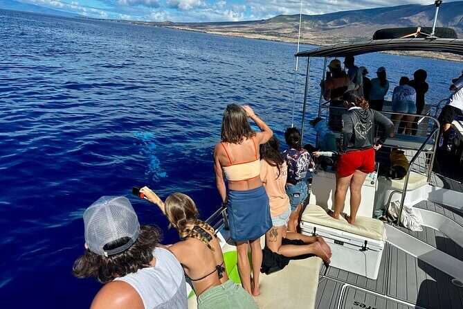 Maui Mid Day Magic Whale Watch - What to Expect on the Maui Mid Day Magic Whale Watch