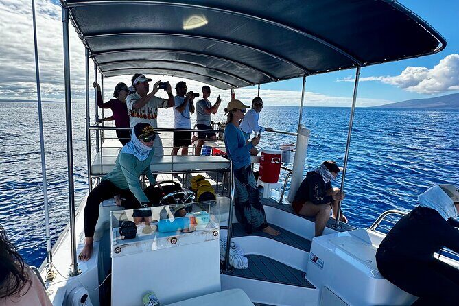 Maui Mid Day Magic Whale Watch - The Value for Money