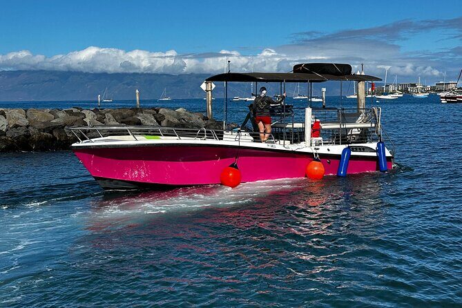 Maui Mid Day Magic Whale Watch - FAQ