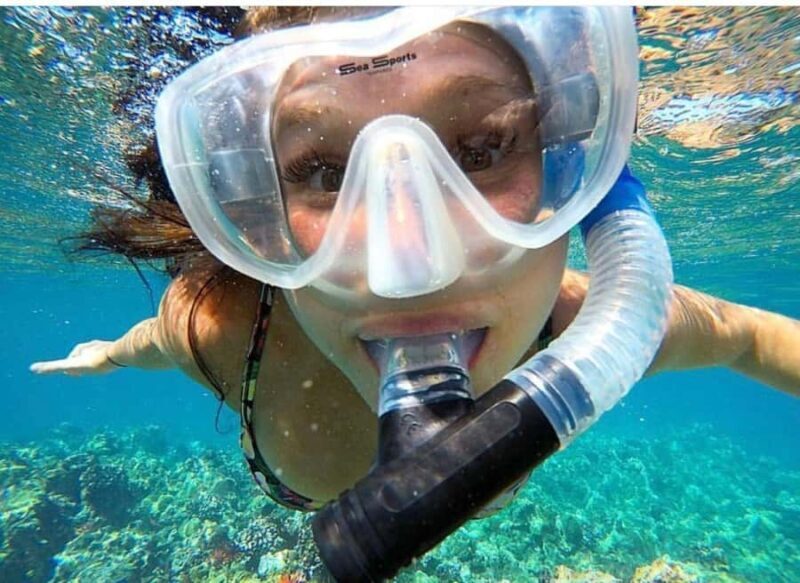 Maui: Molokini Crater and Turtle Town Snorkeling Tour - 3 hr - An In-Depth Look at the Maui Snorkeling Tour