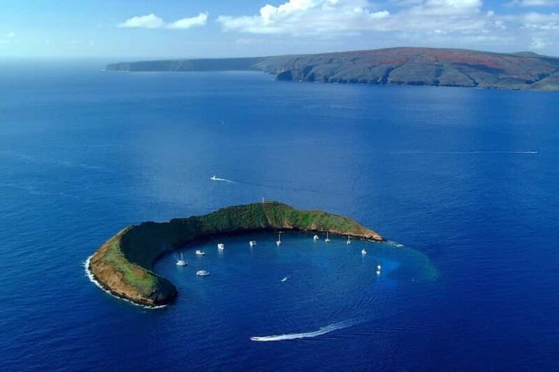 Maui: Molokini Express Snorkeling Tour - 2 hours - The Experience & Reviews: What Travelers Say