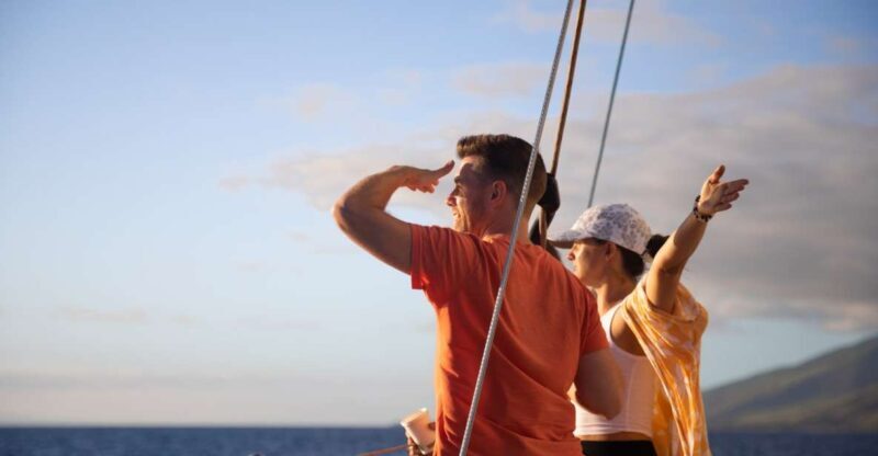 Maui: Morning Sail with the Whales Ma'alaea - Final Thoughts