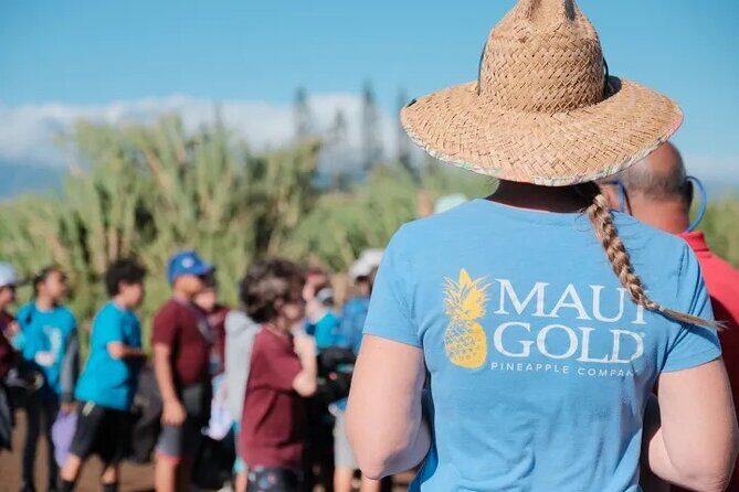 Maui Pineapple Planting Experience - FAQ