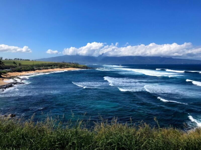 Maui: Private Halfway to Hana Tour - Final Thoughts