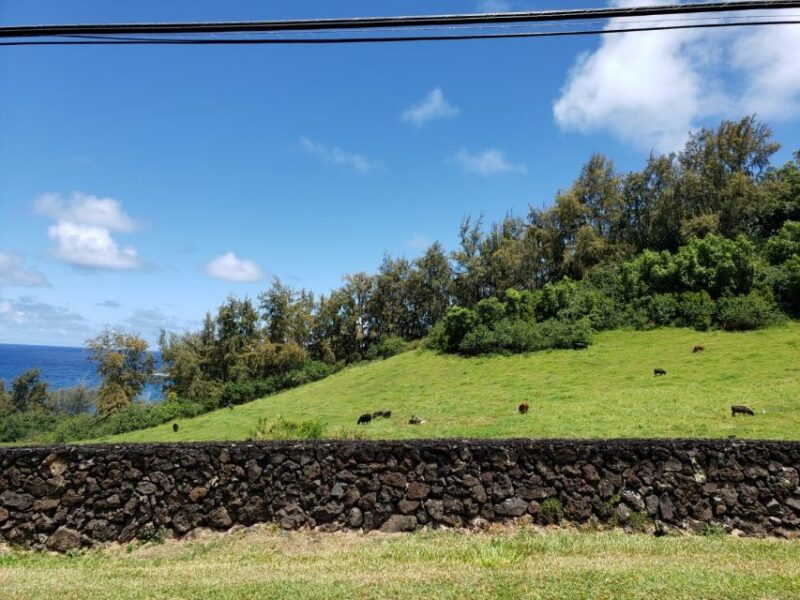 Maui : Private : Road to Hana Day Trip : Just For Your Group - Frequently Asked Questions
