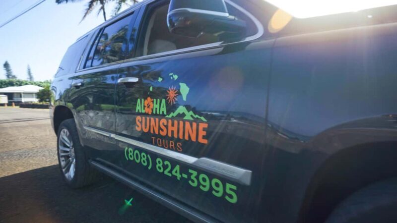 Maui: Private Road to Hana Rainforest and Waterfall Tour - What Sets This Tour Apart – The Pros and Cons