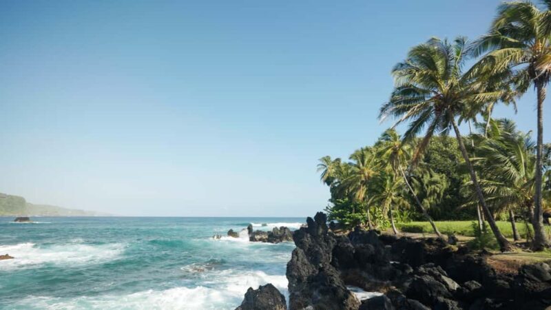 Maui: Private Road to Hana Rainforest and Waterfall Tour - Final Thoughts