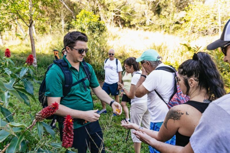 Maui: Rainforest Waterfalls Guided Hike with Picnic Lunch - The Picnic & Rest Breaks