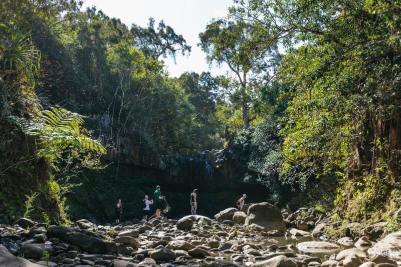 Maui: Rainforest Waterfalls Guided Hike with Picnic Lunch - The Value for Money
