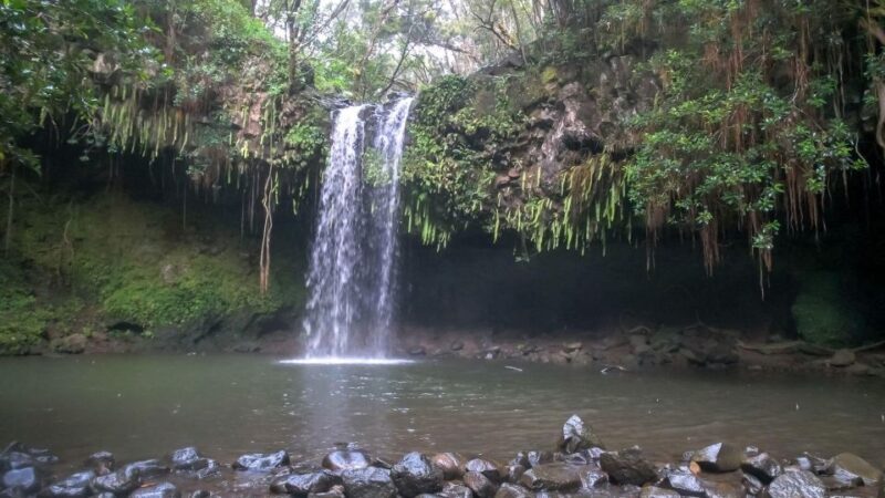 Maui: Road to Hana 4Hr GPS self-guided audio driving tour - What the Tour Offers