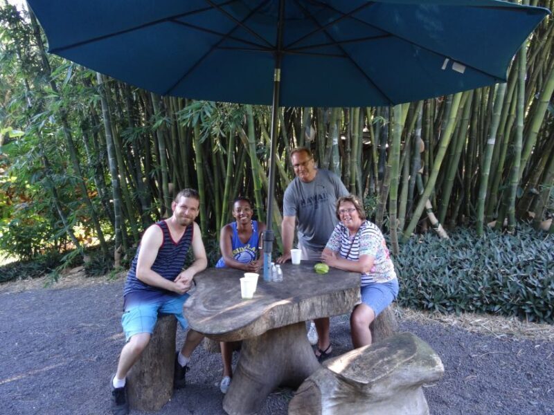 Maui: Road to Hana Waterfalls Tour with Lunch - Key Points