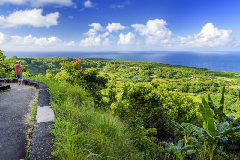 Maui: Small-Group Road to Hna Sightseeing Tour - Who Will Love This Tour?