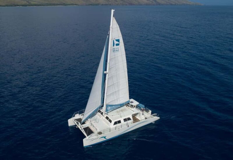 Maui: Snorkel and Sunset Sail with Water Slide - What to Expect from the Maui Snorkel and Sunset Sail