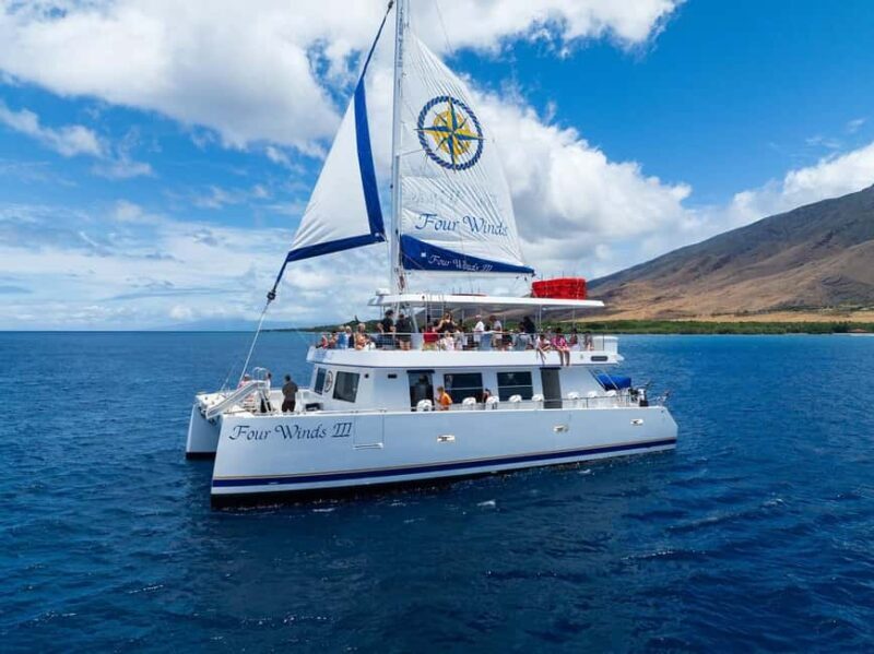Maui: Snorkel Tour to Coral Gardens - Key Points