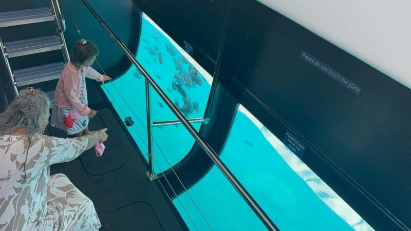 Maui: Snorkel Tour to Coral Gardens - Final Thoughts