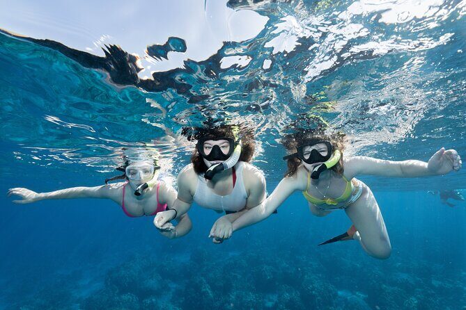 Maui Snorkeling Boat Tour to Turtle Town Aboard Quicksilver - Key Points