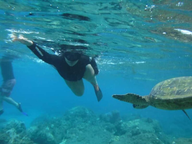 Maui: Snorkeling Tour with Gear and Instructor - The Practical Details