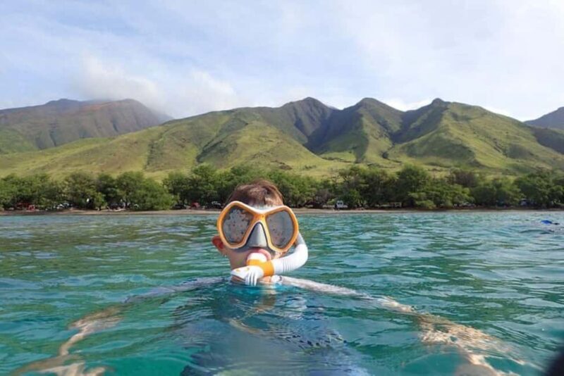 Maui: Snorkeling Tour with Gear and Instructor - The Sum Up