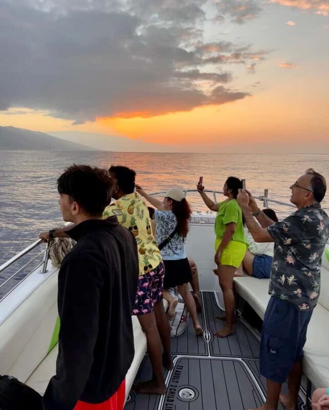 Maui: Sunrise Whale Watch - Is It Family-Friendly?