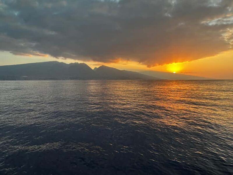 Maui: Sunrise Whale Watch - Final Thoughts