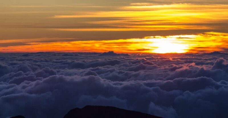Maui: Sunset & Dinner Tour to Haleakala National Park - What Travelers Say: Real Experiences and Honest Opinions