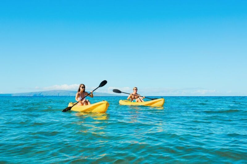 Maui: Turtle Town Kayak and Snorkel Tour - Key Points
