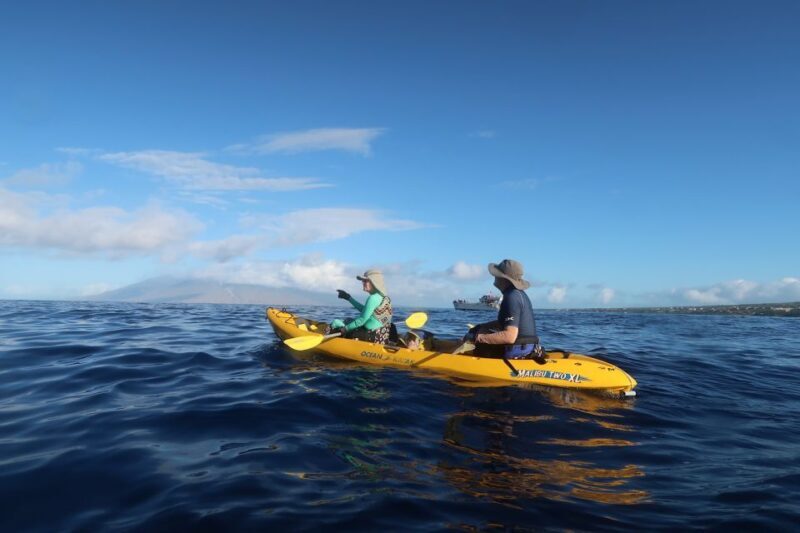 Maui: Turtle Town Kayak and Snorkel Tour - Experience Overview and What to Expect