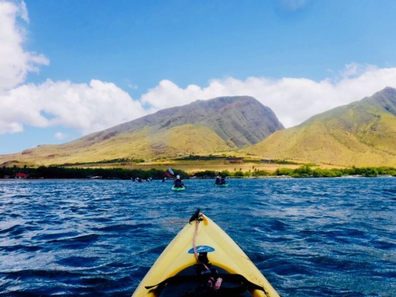 Maui: West Side Discovery Kayak & Snorkel from UKUMEHAME - The Sum Up