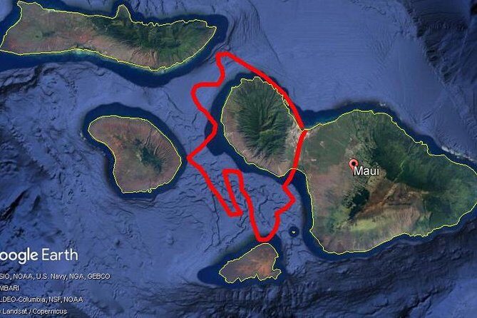 Maui Whale Watching -PRIVATE- Air Tour: (2-5 People): SEE WHALES! - Final Thoughts