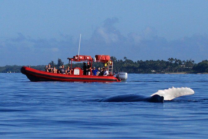Maui Whale-Watching Tour by Raft from Kihei - Key Points