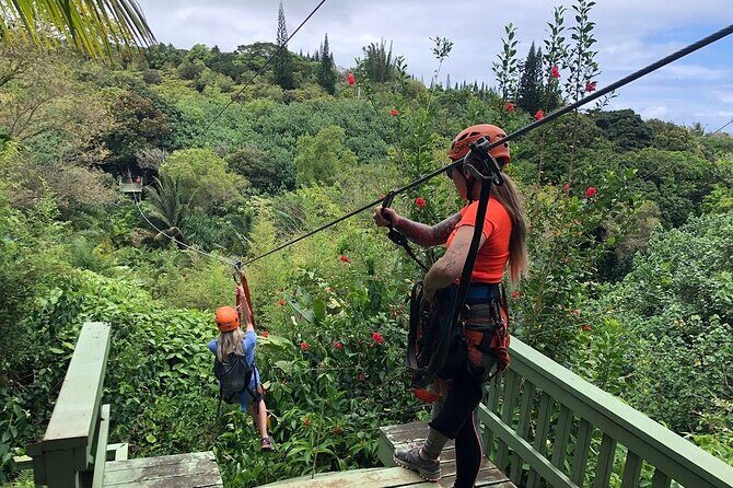 Maui Zipline Eco Adventure: 8 Lines through the Jungle - The Itinerary and Experience