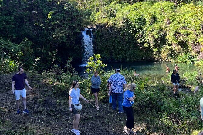 Mauis Sea Turtles, Waterfalls and Road to Hana Adventure - Why You Might Love This Tour