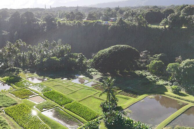 Mauis Sea Turtles, Waterfalls and Road to Hana Adventure - Who Will Love This Tour?