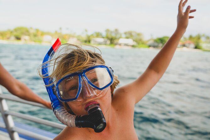 Mauna Kea 2hr One Stop Sealife Snorkel Adventure - Key Points